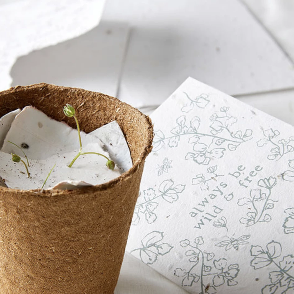 Made By Shannon Seeded Greetings Card - I'm Always Here For You 4 Made By Shannon Seeded Greetings Card - I'm Always Here For You