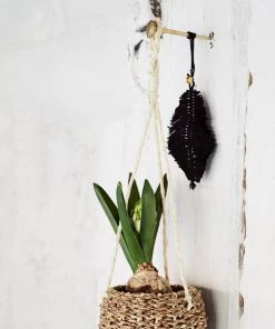 Madam Stoltz Hand Forged Iron Decorative Nails