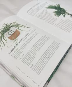 Bookspeed Plant Accessories & Care Plant : House Plants - Choosing, Styling, Caring Book - Gynelle Leon
