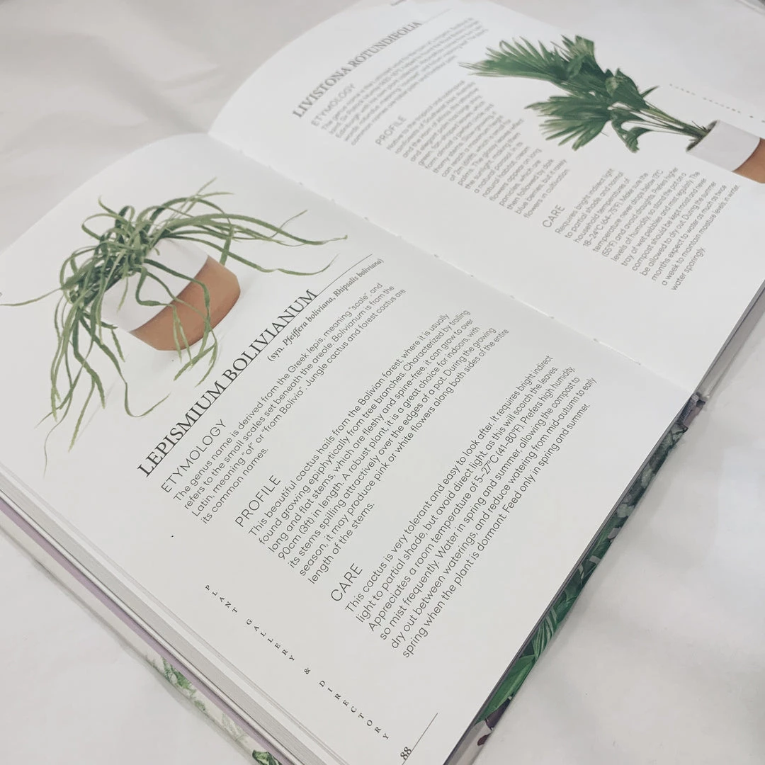Bookspeed Plant Accessories & Care Plant : House Plants - Choosing, Styling, Caring Book - Gynelle Leon 4 Bookspeed Plant Accessories & Care Plant : House Plants - Choosing, Styling, Caring Book - Gynelle Leon