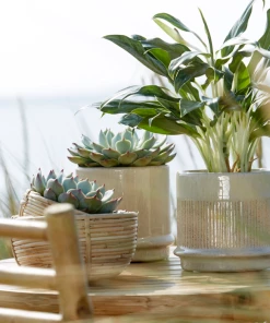 Wikholmform Ariana Ceramic Glazed Plant Pot (2 Designs) 8 Wikholmform Ariana Ceramic Glazed Plant Pot (2 Designs)