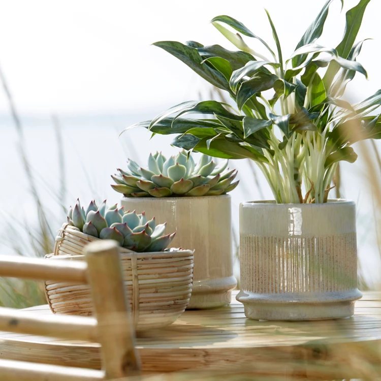 Wikholmform Ariana Ceramic Glazed Plant Pot (2 Designs) 5 Wikholmform Ariana Ceramic Glazed Plant Pot (2 Designs)