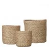 Wikholmform Belle Lined Natural Light Seagrass Plant Pot (3 Sizes) Plant Pots
