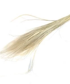 Atlas Flowers Dried Stipa Pennata Grass (various Colours)