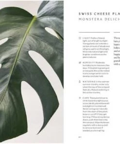 Bookspeed Plant Accessories & Care The Healing Power Of Plants Book 7 Bookspeed Plant Accessories & Care The Healing Power Of Plants Book