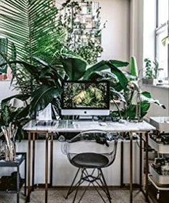 Cico Books Books & Games Wild Interiors Book