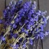 Atlas Flowers Dried Blue Delphinium Flowers Dried Flowers