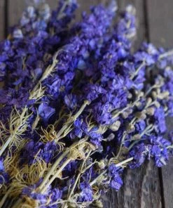 Atlas Flowers Dried Blue Delphinium Flowers Dried Flowers