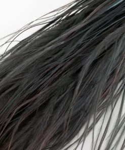 Atlas Flowers Dried Stipa Pennata Grass (various Colours)