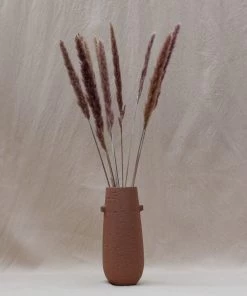 Atlas Flowers Miscanthus Floridulus Grass Dried Flowers
