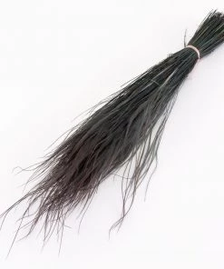 Atlas Flowers Dried Stipa Pennata Grass (various Colours)