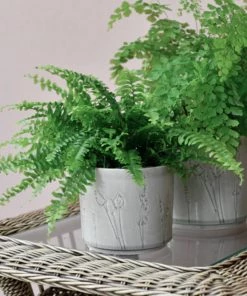 Burgon & Ball Plant Pots Provence Grey Glazed Pot