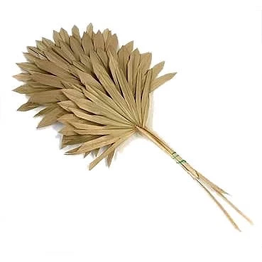 Atlas Flowers Natural Dried Fan Palm Leaves Dried Flowers 6 Atlas Flowers Natural Dried Fan Palm Leaves Dried Flowers