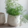 Garden Trading Plant Pots Ravello Large Ridged Ceramic Crackle Glaze Plant Pot ( 2 Sizes Available )