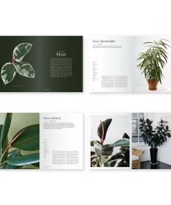 Bookspeed Books & Games Plantopedia Book