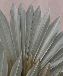 Atlas Flowers Natural Dried Fan Palm Leaves Dried Flowers