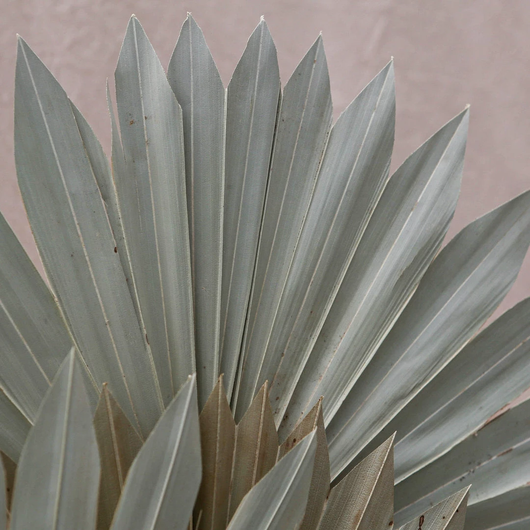 Atlas Flowers Natural Dried Fan Palm Leaves Dried Flowers 3 Atlas Flowers Natural Dried Fan Palm Leaves Dried Flowers