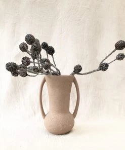 Atlas Flowers Muirii Natural Cones