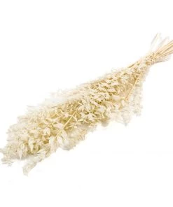 Atlas Flowers Preserved Bleached White Or Copper Ruscus Dried Flowers 10 Atlas Flowers Preserved Bleached White Or Copper Ruscus Dried Flowers