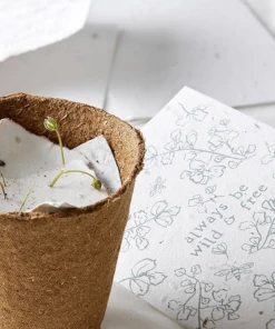 Made By Shannon Seeded Greetings Card - Wild Birthday