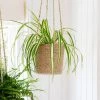 Garden Trading Jute Hanging Basket Planter