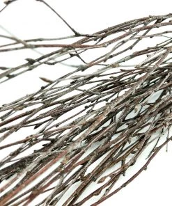 Atlas Flowers Natural Brown Dried Birch Dried Flowers