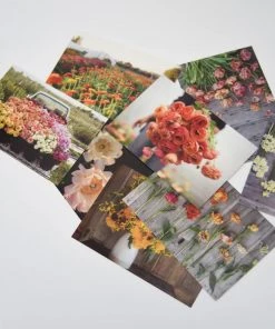 Bookspeed Floret Farm’s Cut Flower Garden 100 Postcard Set Books & Games