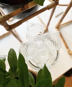 Affari Plant Watering Glass Globe Outdoor 11 Affari Plant Watering Glass Globe Outdoor