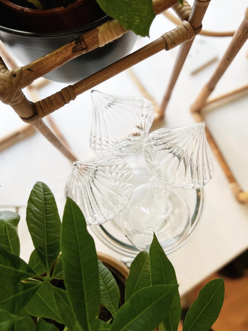 Affari Plant Watering Glass Globe Outdoor 7 Affari Plant Watering Glass Globe Outdoor