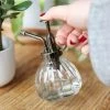 Something Different Plant Accessories & Care Glass Plant Atomiser / Mister Spray