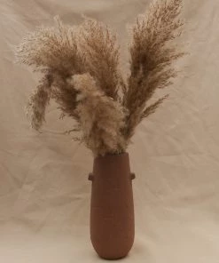 Atlas Flowers Dried Wild Plume Reed Grass