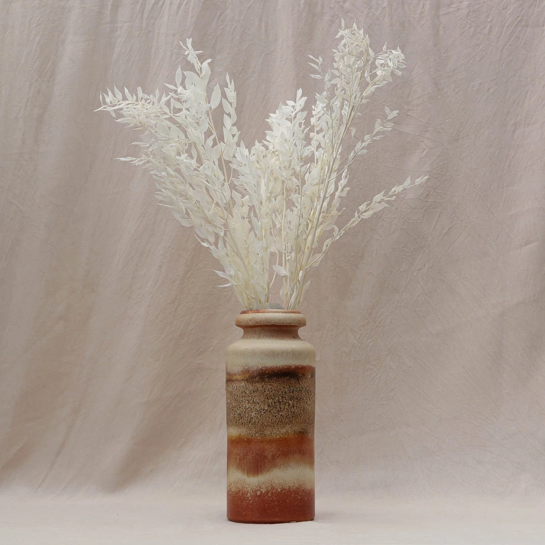 Atlas Flowers Preserved Bleached White Or Copper Ruscus Dried Flowers 4 Atlas Flowers Preserved Bleached White Or Copper Ruscus Dried Flowers