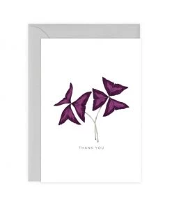Catherine Lewis Designs Oxalis ‘Thank You’ Houseplants A6 Greetings Card
