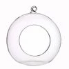 Ted Langley Glass Hanging Terranium- D13cm Plant Accessories & Care 1 Ted Langley Glass Hanging Terranium- D13cm Plant Accessories & Care