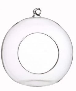 Ted Langley Glass Hanging Terranium- D13cm Plant Accessories & Care