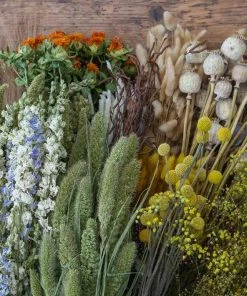 Atlas Flowers Dried Blue Delphinium Flowers Dried Flowers
