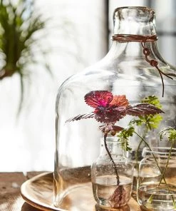 Affari Vases Cylinder Glass Vase