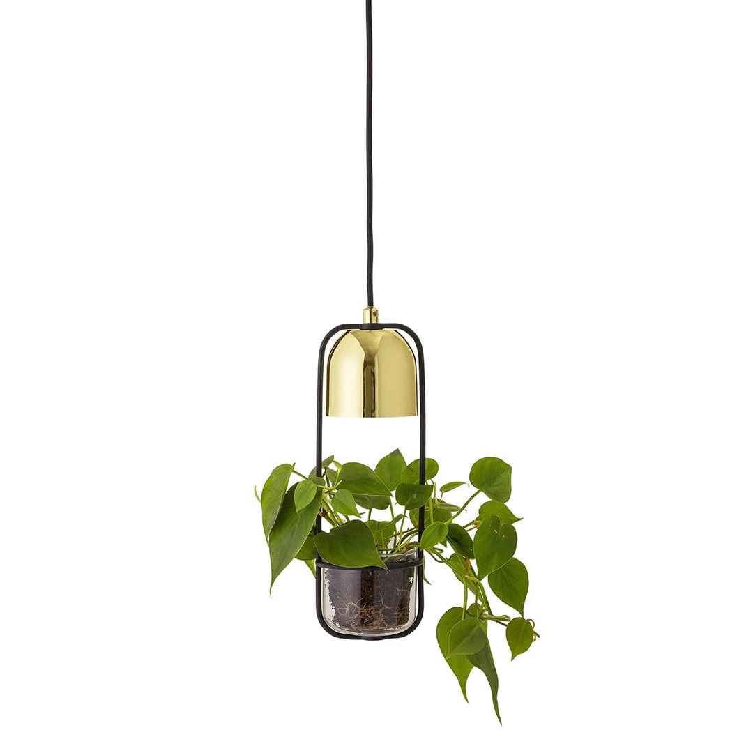 Bloomingville Ceiling Lamp With Glass Planter 3 Bloomingville Ceiling Lamp With Glass Planter