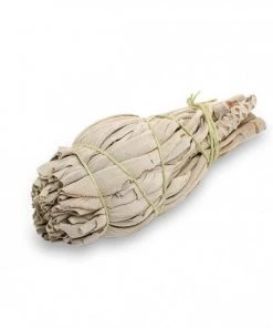 Holistic Trader Mini White Sage Smudge Stick