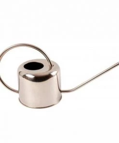 Fallen Fruits Stainless Steel Watering Can ( 1L )
