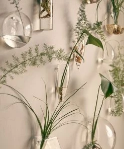 Affari Kling Glass Wall Vases (3 Shapes Available)