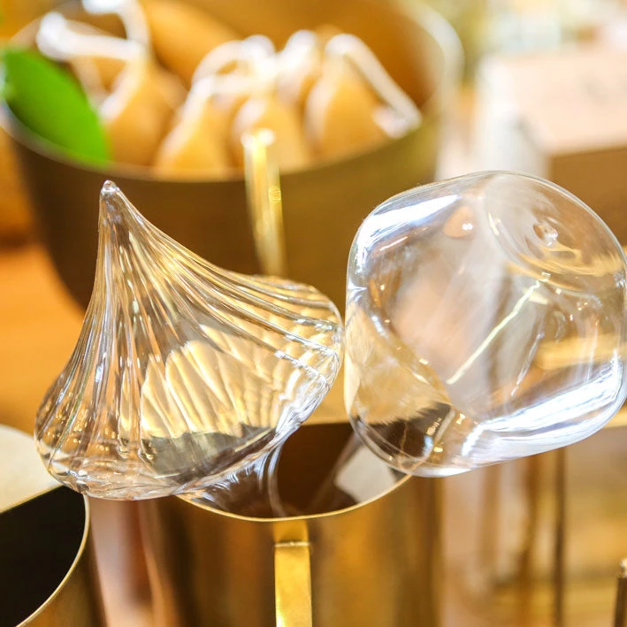 Affari Plant Watering Glass Globe Outdoor 6 Affari Plant Watering Glass Globe Outdoor